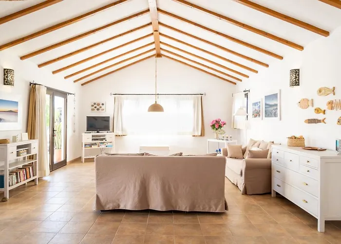 فيلة Arriba لاجاريس